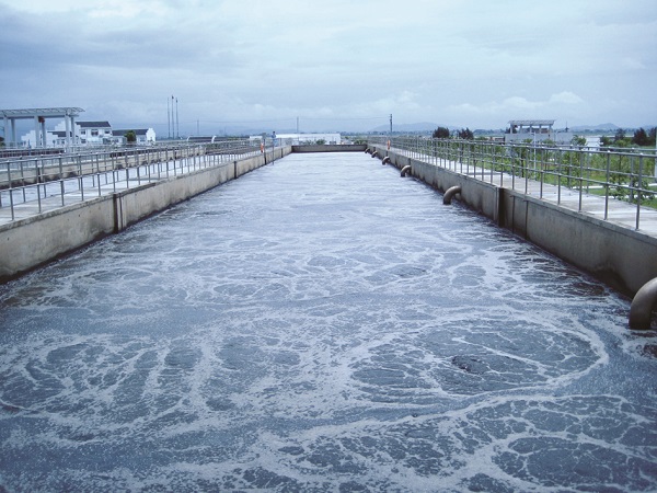 Sewage Sludge Disposal and Treatment 